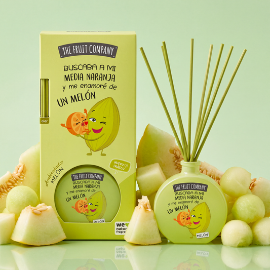 Mikado Melón 40 ml The Fruit Company