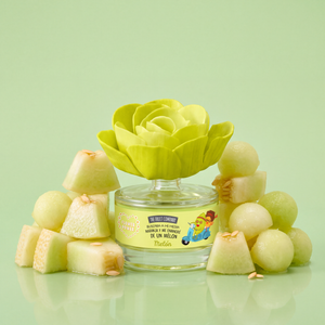 Flor Difusora Melón 50 ml The Fruit Company